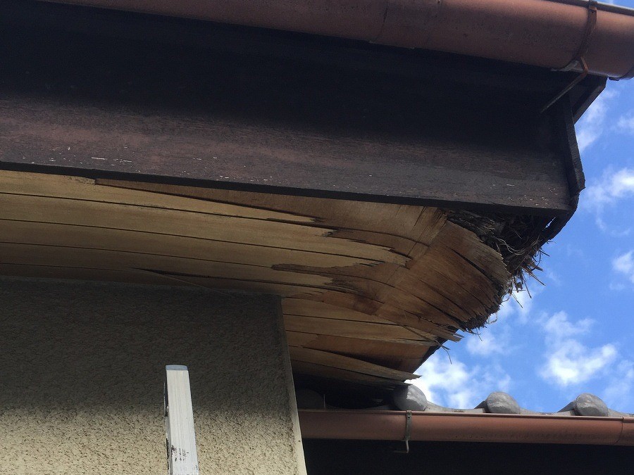 壊れた軒天