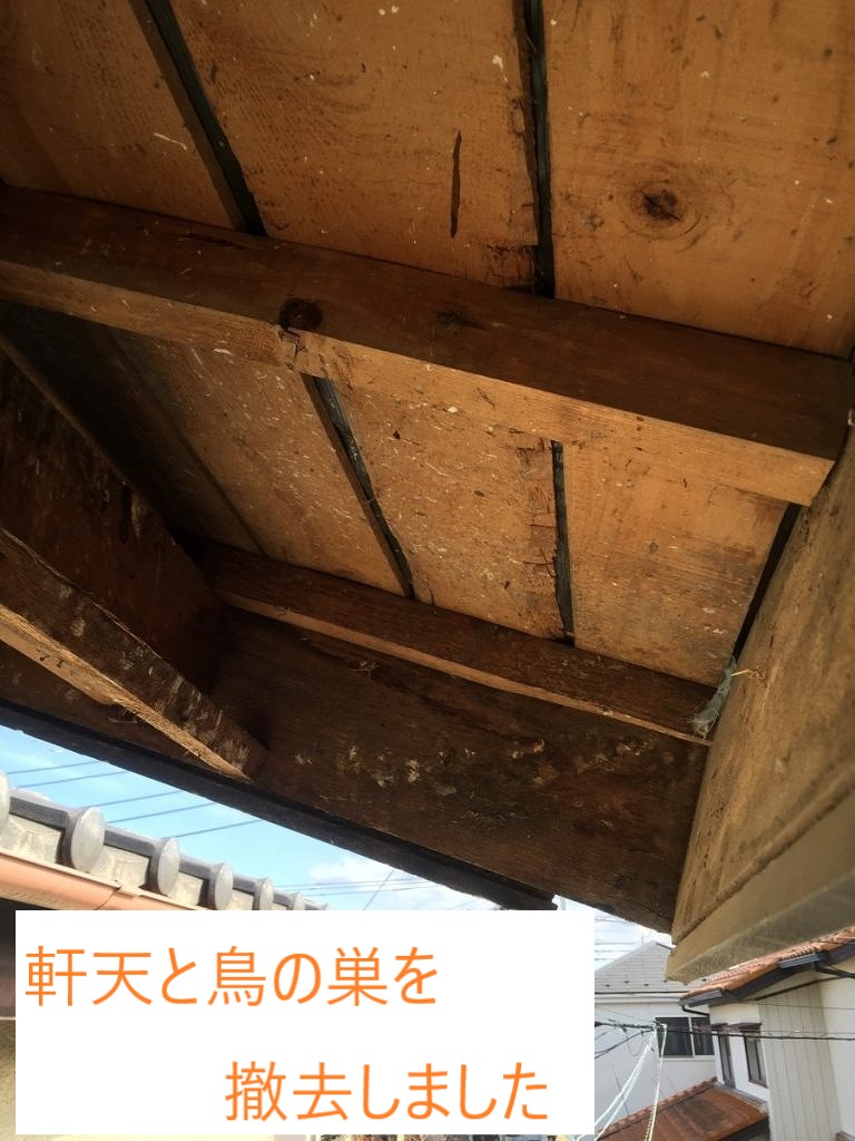 取り除いた軒天