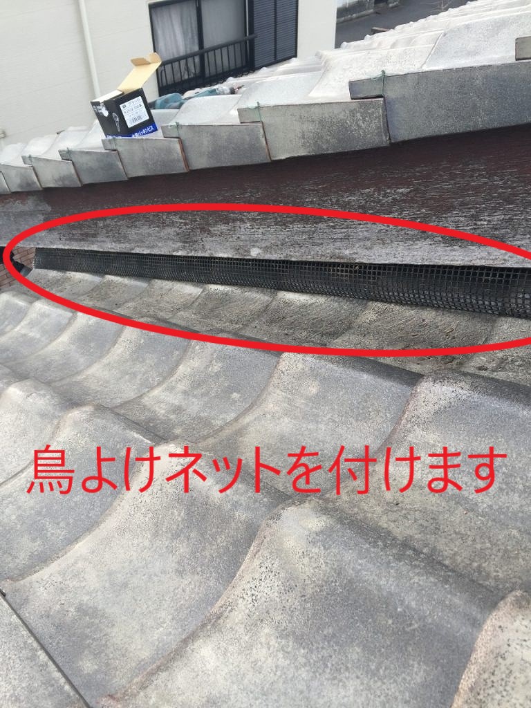 鳥よけネットをつけた屋根