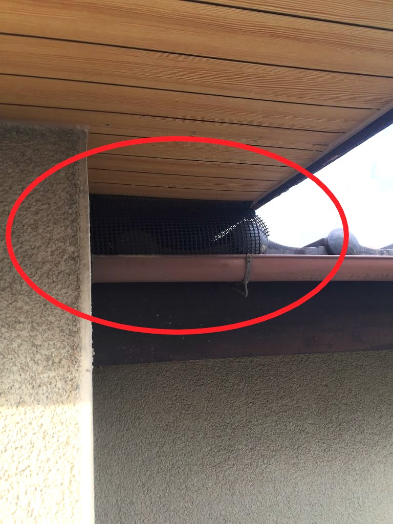 鳥よけネットをつけた屋根