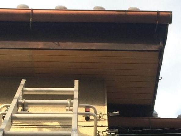 綺麗になった軒天