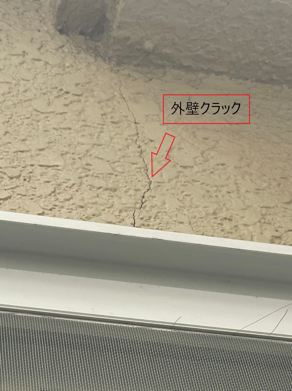 外壁の現場調査を行いました