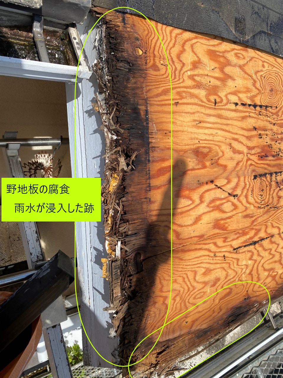 屋根の下は野地板　腐食してボロボロ