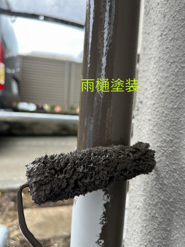 雨樋塗装