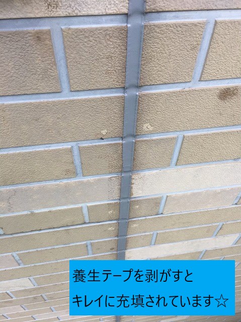 テープを剥がすとキレイに完成