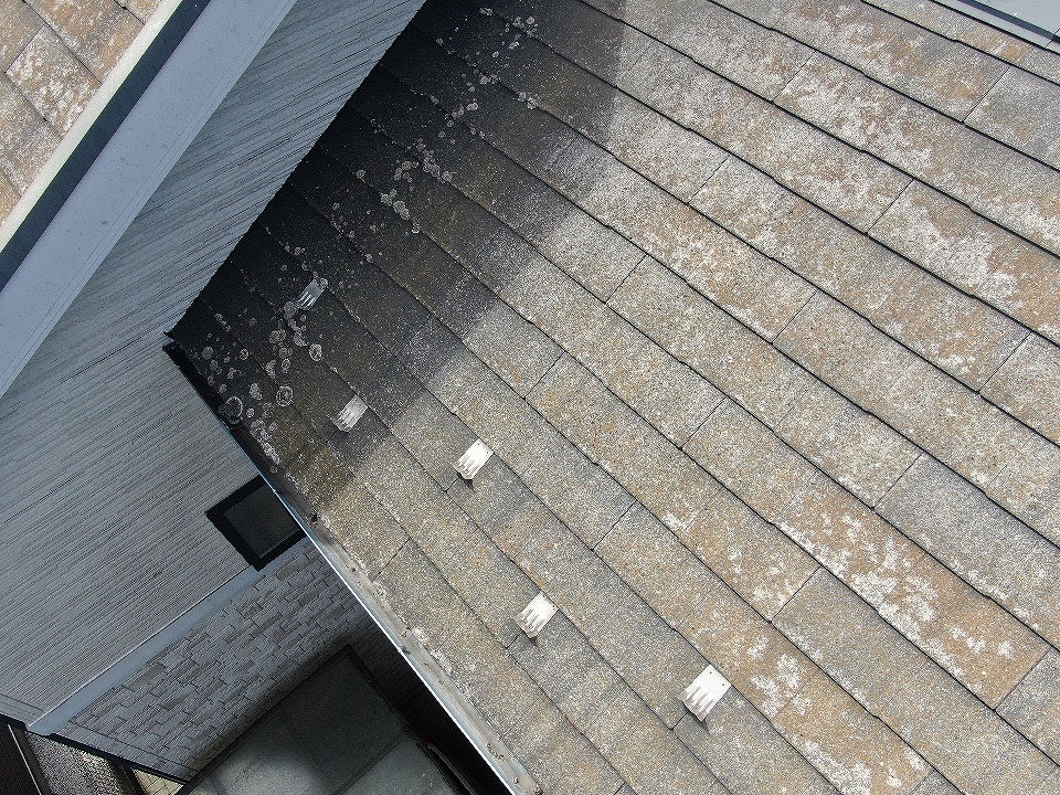 コロニアルNEO　日陰部分コケ