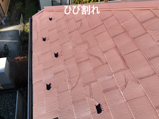 レサスひび割れ