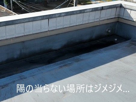 陸屋根　防水シートの劣化