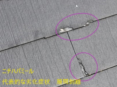 ニチハパミール層間剝離