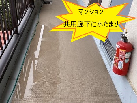 防水工事　マンション共用廊下に長尺シート