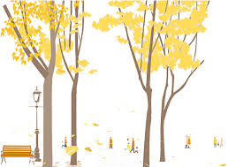 雨樋掃除　掃除のポイントと落ち葉除けネットのお勧めをご紹介♪