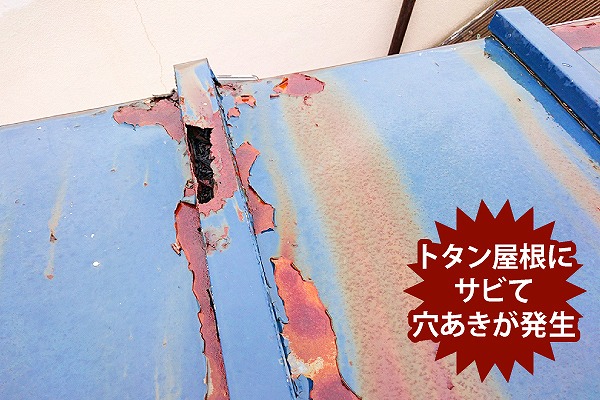 トタン屋根の一部交換と棟板金交換工事を実施