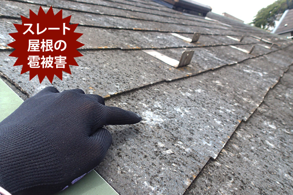 自然災害も迅速対応