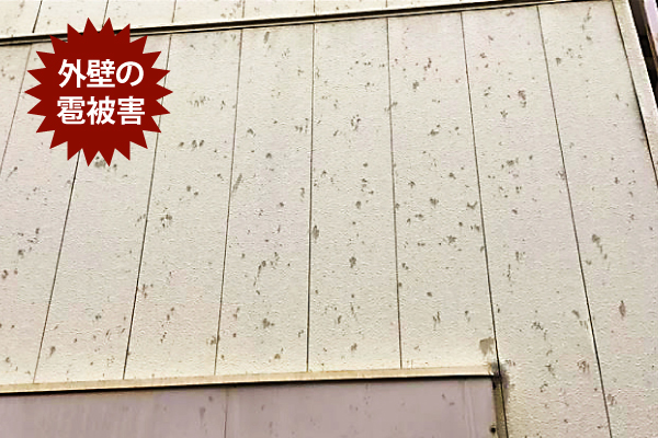 自然災害も迅速対応