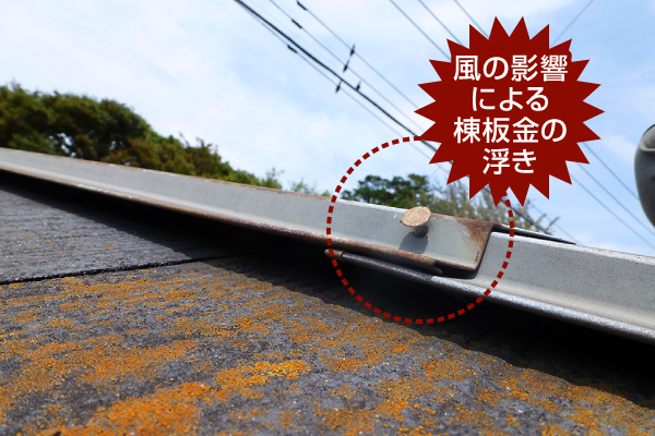 屋根が壊れた…？そんな時は街の屋根やさん上尾店へご相談ください♪