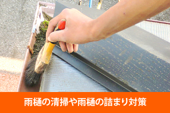 雨樋掃除　掃除のポイントと落ち葉除けネットのお勧めをご紹介♪