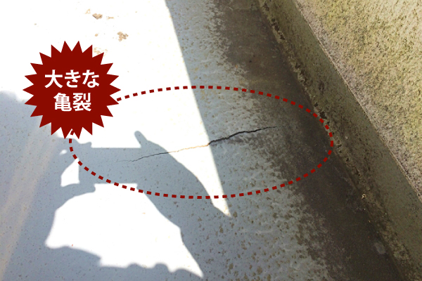 ひとつでも当てはまる症状があれば、迷わず専門業者に相談してくださいね。