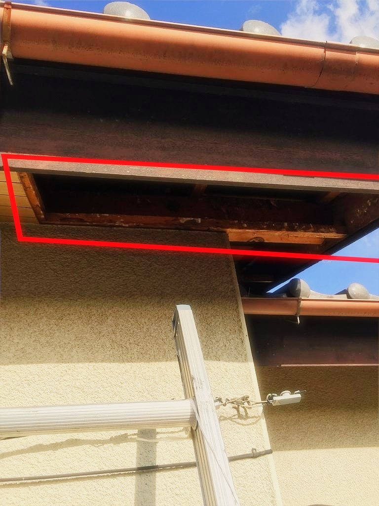 鳥の巣を取り除いた軒天