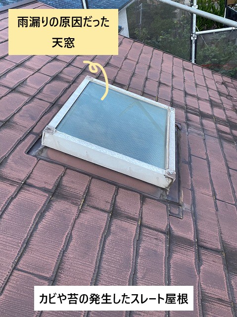 屋根の症状