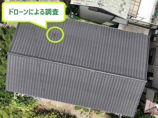 ドローンによる調査