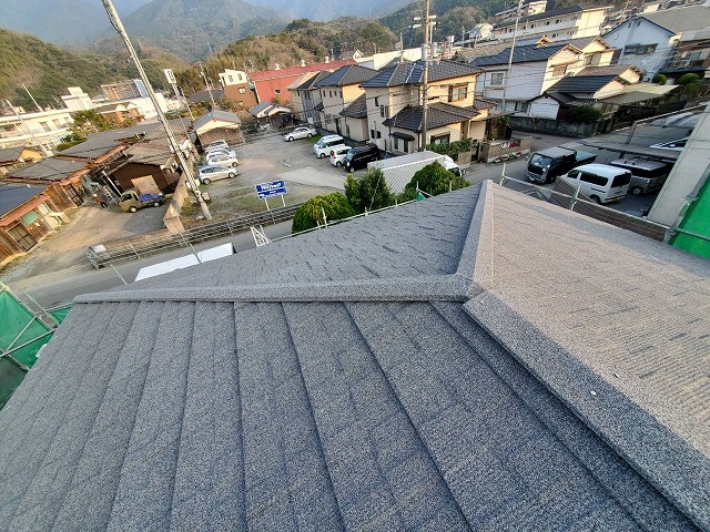 セネターの屋根