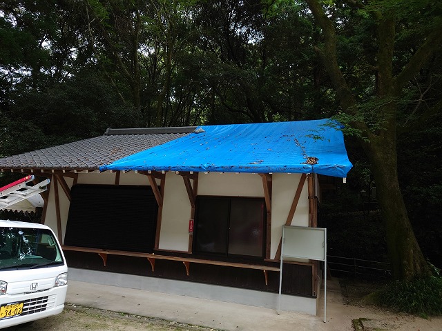 ブルーシートで養生した屋根