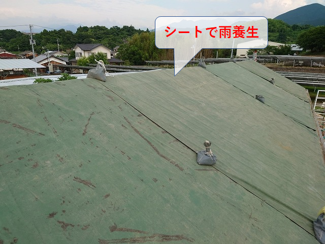 屋根工事のシートで雨養生