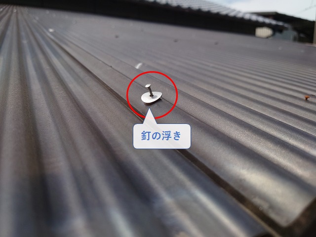 波板の釘の浮き