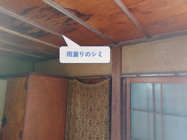 雨漏りの天井のシミ