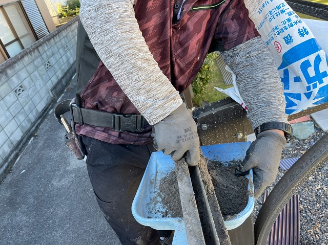 雨樋に溜まったゴミ