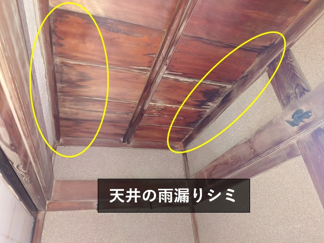 天井の雨漏りシミ