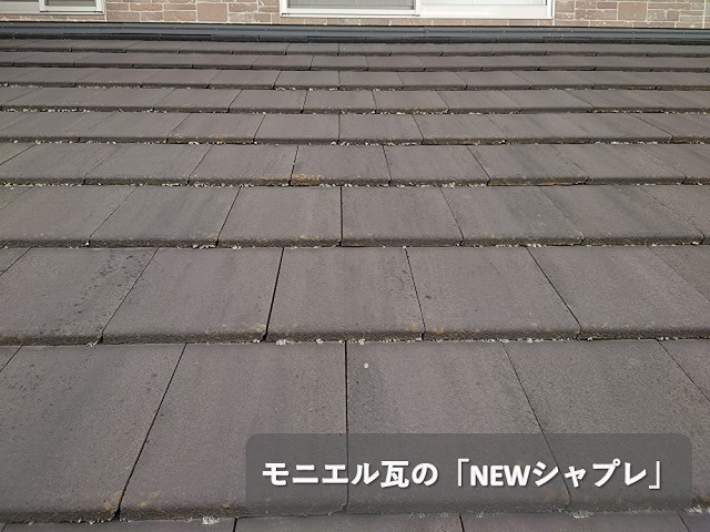 NEWシャプレの屋根