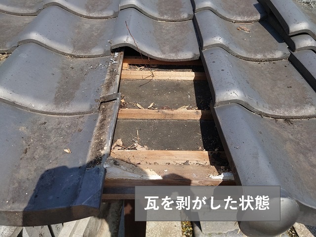 瓦を剥がして屋根調査