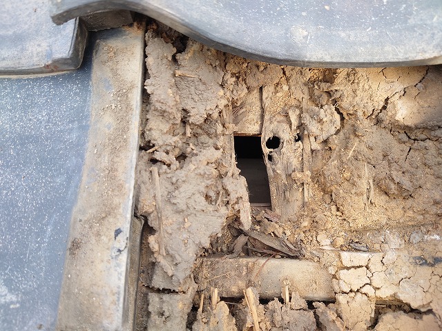 瓦の下の土を点検