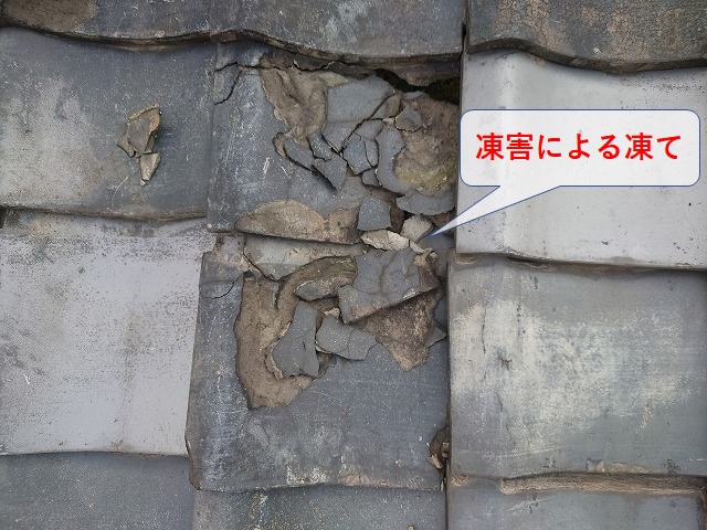 凍害による瓦の剥離