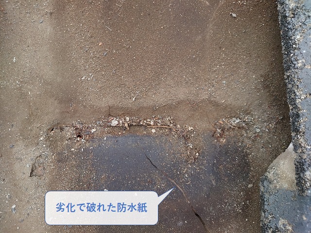 劣化で破れた防水紙