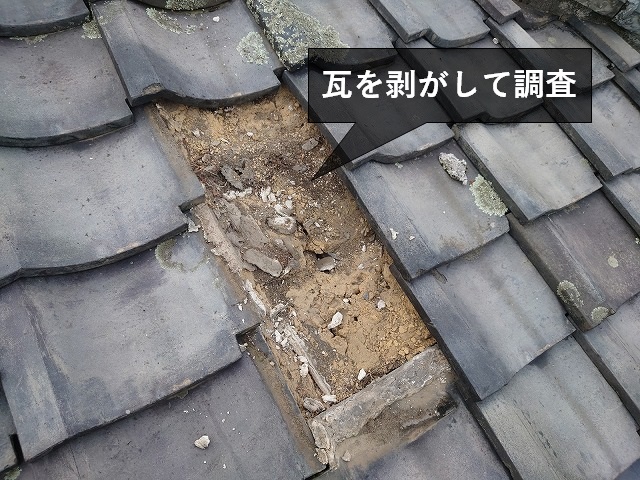 瓦を剥がして調査