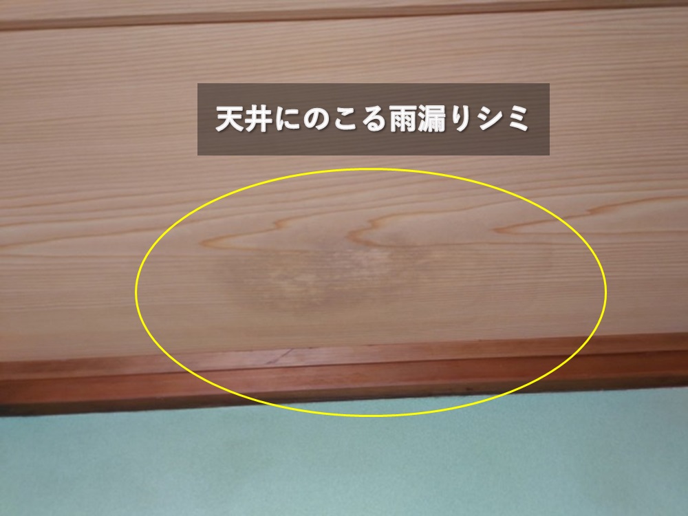 天井の雨漏りシミ