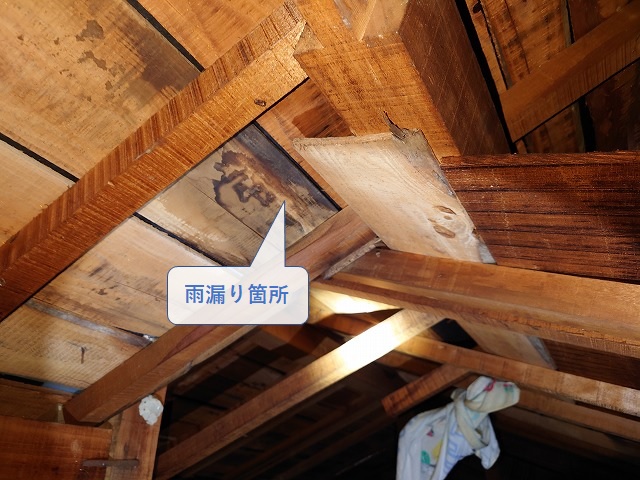 天井裏の雨漏り