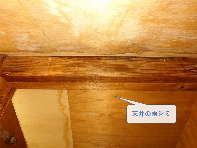 天井に残る雨漏りのシミ