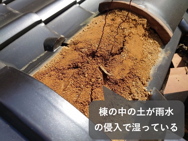 雨水の侵入した棟の土