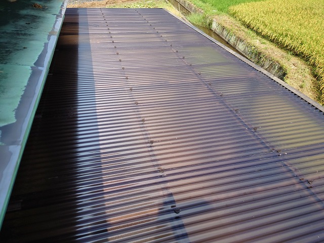 テラスのポリカ波板屋根