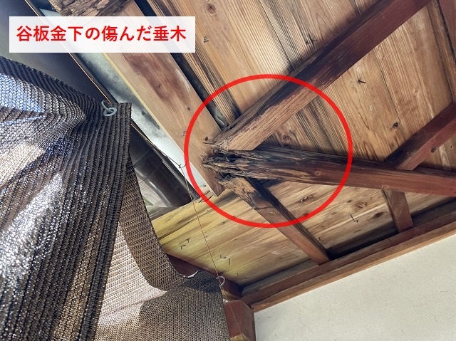 垂木の先端がボロボロの屋根
