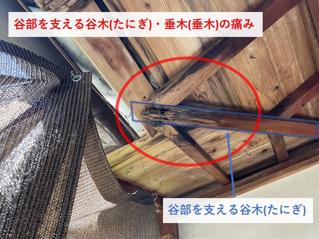 雨漏りで谷部が傷んだ松山市のお宅