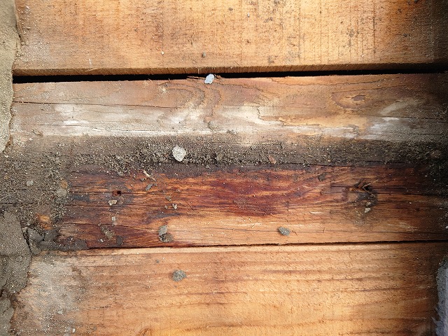 野地板の雨漏りシミ