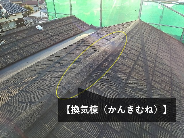 セネターの換気棟