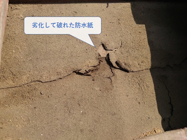 劣化して破れた防水紙