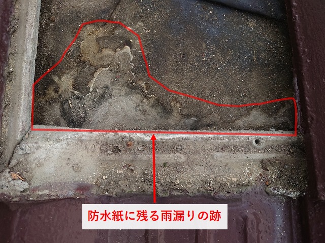ルーフィングに残る雨漏りの跡