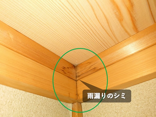 天井板に残る雨漏りシミ
