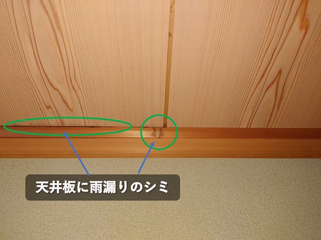 天井板に残る雨漏りシミ